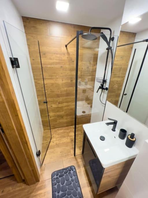 Apartament Leszczynska 29 Bielsko-Biala Exterior foto