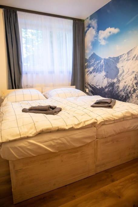 Apartament Leszczynska 29 Bielsko-Biala Exterior foto