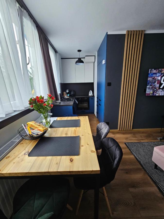 Apartament Leszczynska 29 Bielsko-Biala Exterior foto